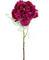 Een enkele Kunstbloem Pioen 61 cm roze, met meerdere groene bladeren op een lange bruine steel, tegen een witte achtergrond.