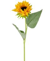 Le tournesol artificiel Real Touch 61 cm possède un seul tournesol artificiel avec des pétales jaune vif, un cœur marron foncé, deux grandes feuilles vertes et une longue tige verte, parfait pour être exposé sur un fond blanc.