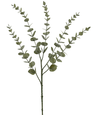 De Kunstbloem Eucalyptus Yugali 71 cm is een enkele kunststengel met vijf vertakkende takken en kleine, ronde groene bladeren, geïsoleerd afgebeeld op een witte achtergrond.