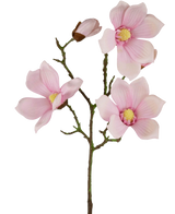 De Kunst Magnolia Real Touch Roze 72cm heeft meerdere lichtroze magnolia bloemen en knoppen met een geel hart op groene stelen, tegen een effen witte achtergrond.