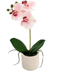 Orchidée artificielle Real Touch 30 cm rose/blanc