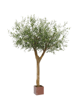L'olivier artificiel avec olives 260 cm a un tronc élancé et des branches denses et feuillues avec des olives, présentées dans un petit pot carré marron sur fond blanc.