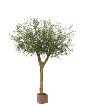L'olivier artificiel avec olives 260 cm a un tronc élancé et des branches denses et feuillues avec des olives, présentées dans un petit pot carré marron sur fond blanc.