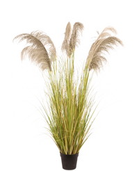 Herbe artificielle de la pampa 170 cm ignifugée