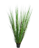 Le gazon artificiel oignon 150 cm ignifuge a de longues feuilles fines et dressées ressemblant à de l'herbe verte et de longues tiges, sur un fond blanc uni.