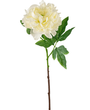 De Kunstbloem Pioen 61 cm wit is een witte kunstpioen met gelaagde bloemblaadjes en groene blaadjes op een lange bruine steel, tegen een witte achtergrond.
