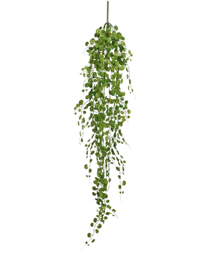 De Kunst hangplant Pumila 100 cm is een lange, kunstmatige hangplant met kleine, ronde groene blaadjes aan een centrale stengel, afgebeeld tegen een witte achtergrond.