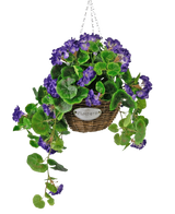 De Kunstbegonia paars in mand UV 70cm is een hangende rieten mand met weelderige groene bladeren en levendige paarse begonia bloemen, opgehangen aan een zilveren ketting en voorzien van een "Flowers" metalen teken. Perfect om kleur toe te voegen aan elke ruimte.