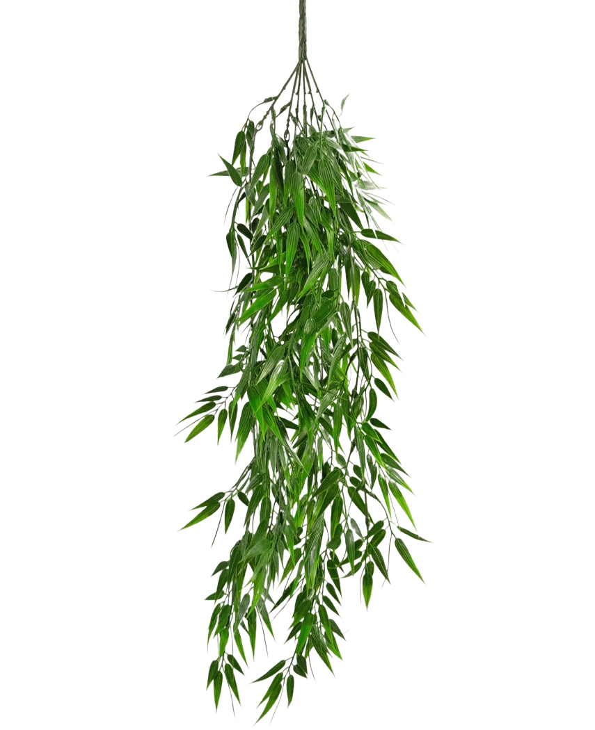 La plante artificielle suspendue Bambou UV 80 cm possède de longues feuilles vertes fines qui pendent gracieusement jusqu'à la tige, sur un fond uni blanc.