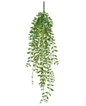 De Kunst hangplant Vetplant 76 cm is een levensechte kunst hangplant met trapsgewijze groene bladeren die lijken op een slingerende wingerd, perfect om groen toe te voegen aan elke ruimte.
