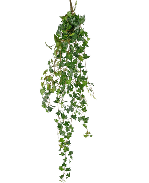 De Kunst hangplant Klimop deluxe 120 cm groen heeft dichte, puntige groene klimopbladeren en slingerende wijnranken tegen een effen witte achtergrond.
