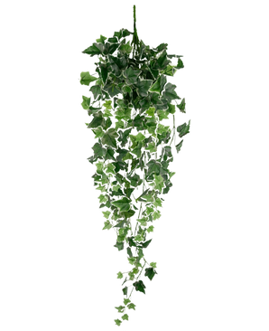 De Kunst Klimop 70 cm groen/wit is een hangende kunstklimopplant met dichte groene en witte puntige bladeren die naar beneden vallen, perfect tegen een witte achtergrond.
