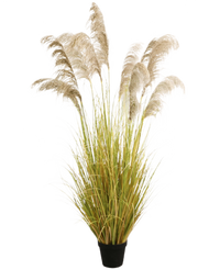 Herbe artificielle de la pampa 200 cm ignifugée