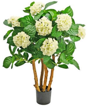 L'hortensia artificiel UV 85 cm blanc est une plante artificielle en pot avec de robustes tiges brunes, de grandes feuilles vertes et des bouquets de fleurs blanches ressemblant à des hortensias au sommet.