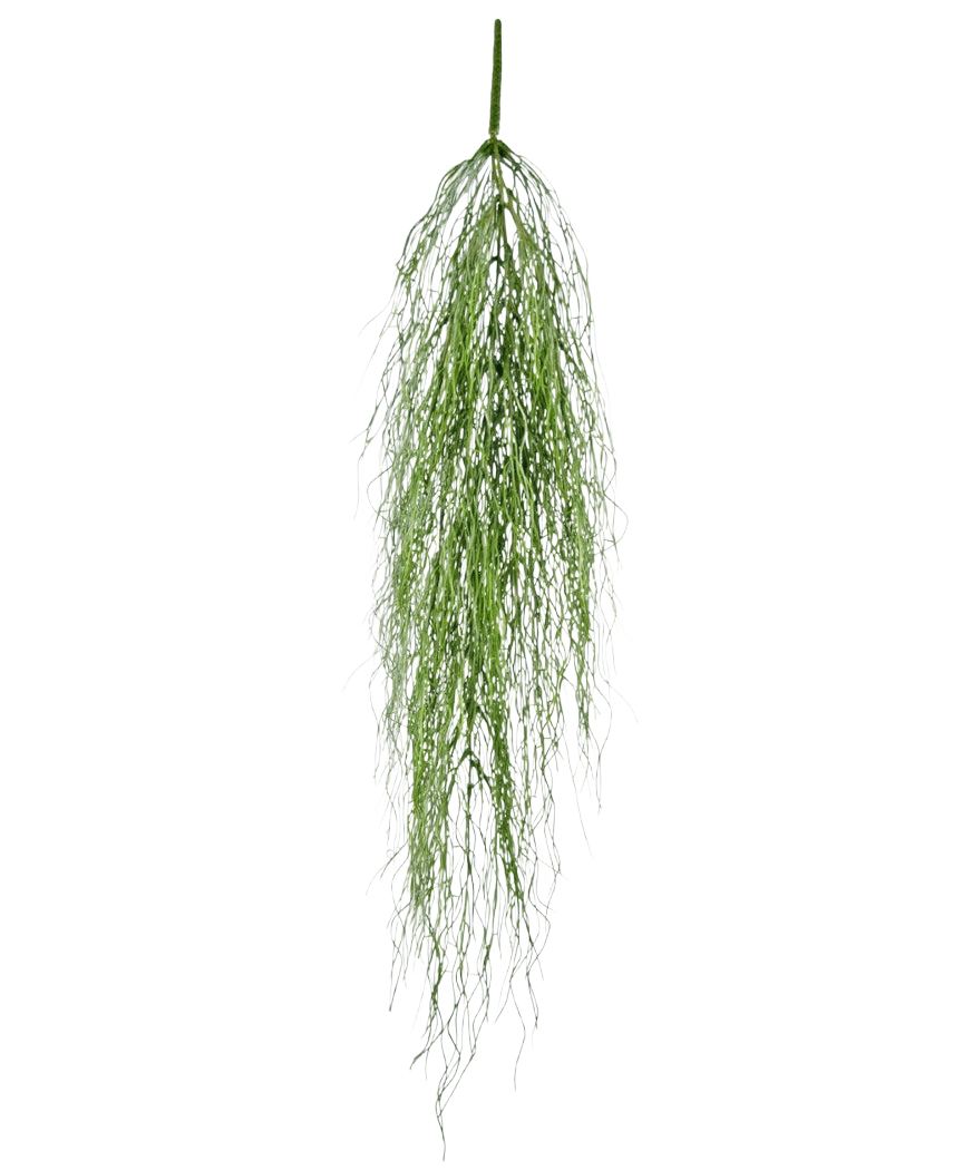 La plante artificielle suspendue Herbe de varech 91 cm a une seule tige de feuillage artificiel vert moelleux avec de longues et fines feuilles qui tombent gracieusement sur un fond blanc uni.
