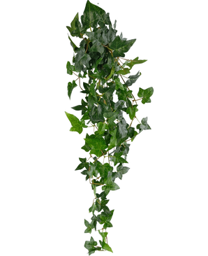 De Kunst hangplant Klimop Boston 100 cm groen heeft weelderige groene puntige bladeren op lange, dunne stelen, waardoor een realistisch trailing klimop effect ontstaat tegen een effen witte achtergrond.