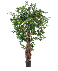 Plante artificielle Ficus Tropical Liana 180 cm
