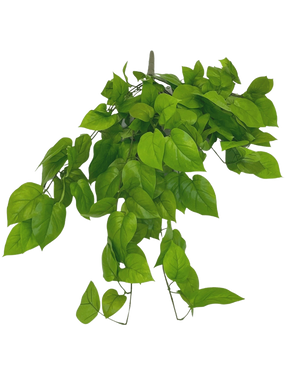 De Kunst Pothos Struik Deluxe 90cm is een groenbladige kunstplantentak met meerdere levendige bladeren, afgebeeld tegen een effen witte achtergrond.