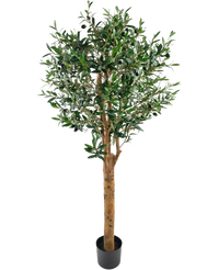 Olivier artificiel 155 cm UV