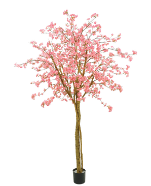 De Kunstboom Kersenbloesem roze 240 cm heeft een bruine stam en talrijke takken met trossen felroze kunstbloemen, tegen een effen witte achtergrond.