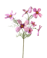 Fleur artificielle Cosmos 74 cm rose
