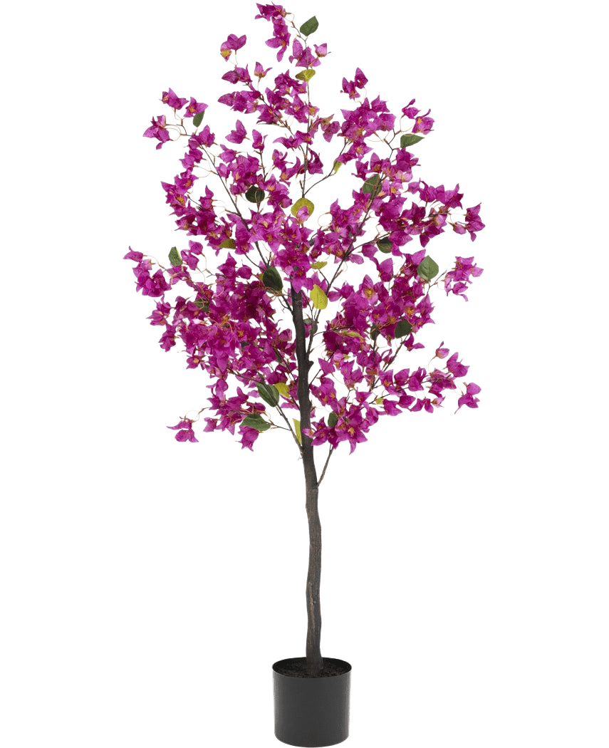 Le bougainvillier artificiel 150 cm violet a une tige haute et mince avec des fleurs violettes vibrantes et des feuilles vertes, dans un simple pot noir sur un fond blanc.