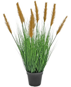 De Kunst Grasplant Struisriet 80 cm brandvertragend heeft lange, slanke groene sprieten en hoge bruine pluimen in een zwarte pot, tegen een witte achtergrond - ideaal voor kunstplantenliefhebbers.