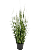 De Kunstgras Zebra uiengras tak is een 56 cm grote kunstplant met lange, rechtopstaande groene bladeren en horizontale lichtgroene strepen. Hij is brandvertragend en staat in een kleine zwarte container op een witte achtergrond.