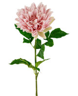 De Kunst Georgine Real Touch lichtroze 70cm is een enkele lichtroze dahlia met gelaagde bloemblaadjes en groene bladeren op een lange steel, tegen een effen witte achtergrond.
