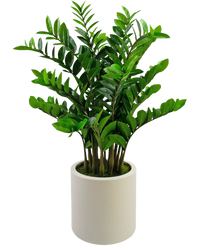 Plante artificielle Zamioculcas 120 cm prête à l'emploi dans pot beige