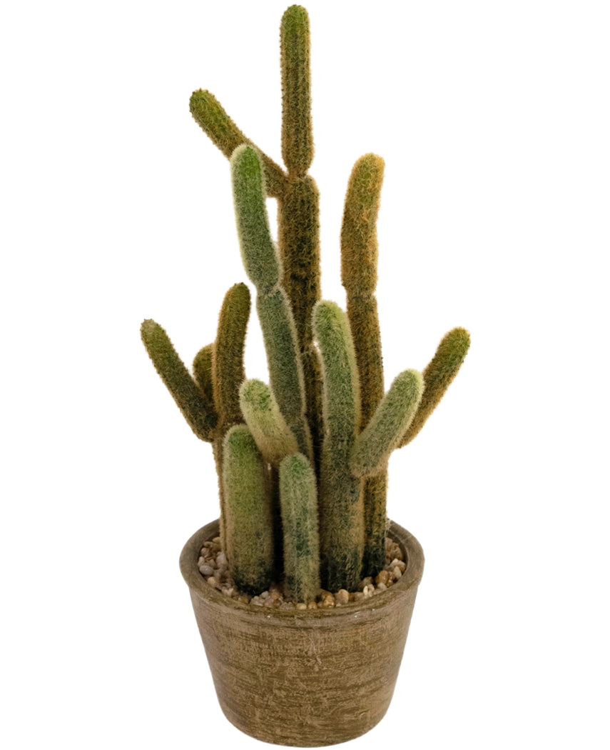 Le cactus artificiel Cereus 35 cm a plusieurs longues tiges duveteuses vertes et brunes qui poussent vers le haut dans différentes directions, dans un pot rond avec texture et pierres décoratives.