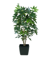 De Kunstplant Schefflera 150 cm heeft meerdere stelen en glanzend groene bladeren, gepresenteerd in een zwarte rechthoekige plantenbak tegen een effen witte achtergrond.