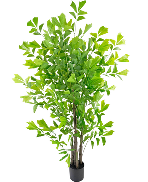 De Kunstplant Fishtailpalm 180 cm is een hoge kunstboom met meerdere slanke bruine stammen en dichte, heldergroene bladeren, in een kleine zwarte pot tegen een witte achtergrond.