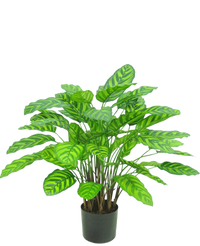 Plante artificielle Calathea Makoyana 75 cm rouge