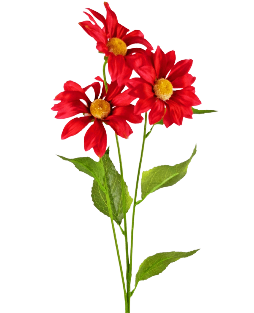 La marguerite artificielle de 78 cm rouge comprend trois marguerites artificielles rouges vif avec des cœurs jaunes et des feuilles vertes sur de longues tiges, sur un fond blanc uni.