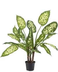 Plante artificielle Dieffenbachia 60 cm