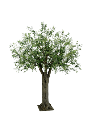 L'olivier géant artificiel avec olives de 250 cm a un tronc épais et texturé et des feuilles vertes denses et fines et apporte le luxe méditerranéen sans entretien sur un fond simple et blanc.
