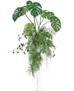 De Kunst hangplant Monstera/Varen bal 100 cm XL heeft weelderige groene tropische bladeren, waaronder splitbladmonstera en varens, met slingerende ranken en luchtwortels, prachtig gerangschikt en geïsoleerd op een witte achtergrond.