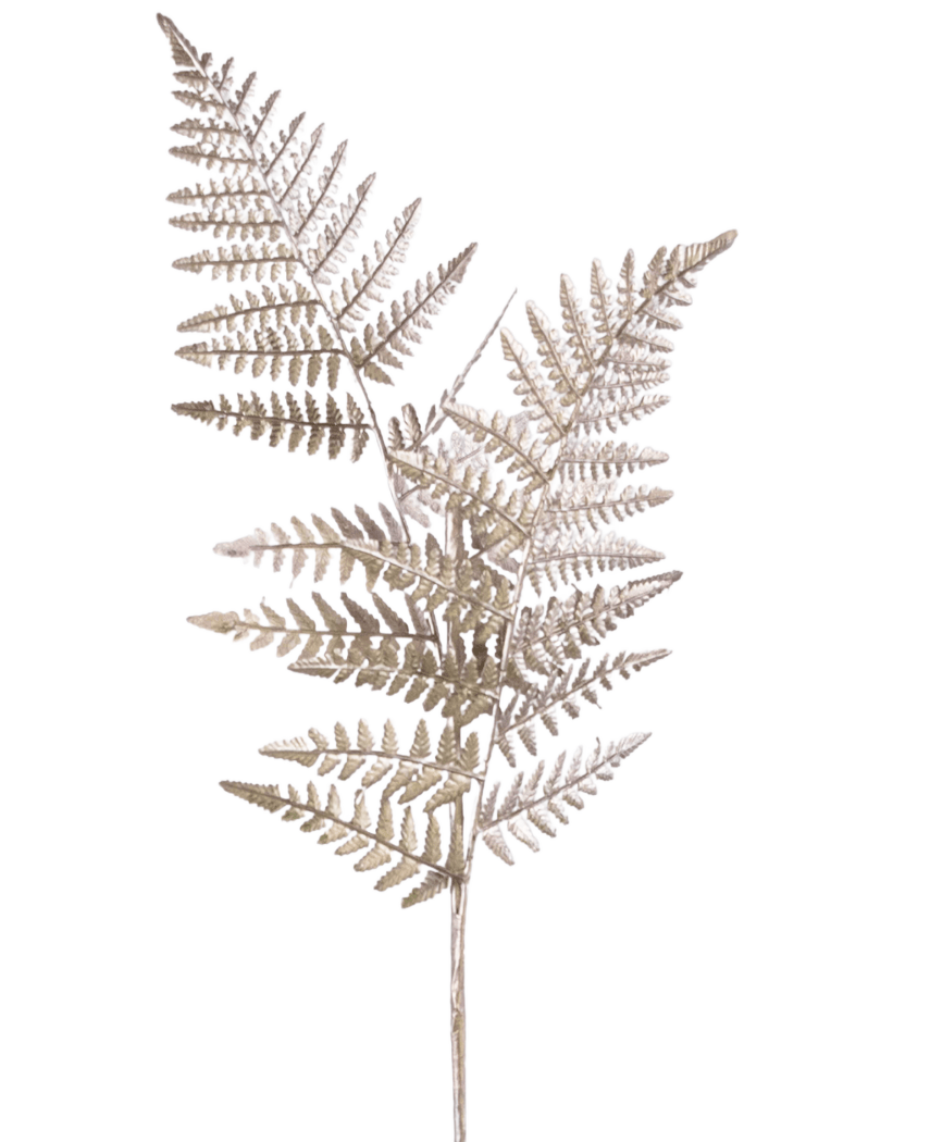 Une seule branche artificielle d'asperge de 125 cm argentée, avec des tiges brun clair ressemblant à des fougères séchées avec des feuilles fines et légères comme une plume, sur un fond blanc uni.