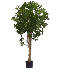 Plante artificielle Schefflera small leaf 150 cm