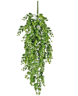 De Kunst hangplant Pannenkoek 61 cm is een kunstmatige hangplant met trapsgewijze groene bladeren en een zichtbare centrale stengel, die lijkt op een slingerende wingerd, weergegeven op een witte achtergrond.