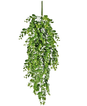 De Kunst hangplant Pannenkoek 61 cm is een kunstmatige hangplant met trapsgewijze groene bladeren en een zichtbare centrale stengel, die lijkt op een slingerende wingerd, weergegeven op een witte achtergrond.