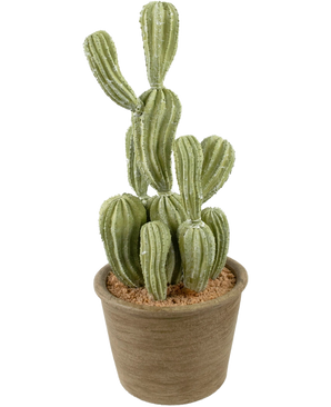 De Kunst Cactus Cereus 35 cm heeft groene, geribbelde rechtopstaande stelen in een pot met bruine structuur en lichtbruine aarde, tegen een effen witte achtergrond.