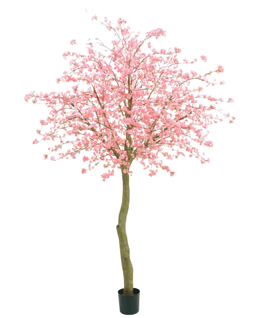 L'Arbre Artificiel Fleur de Cerisier Rose 330 cm possède un tronc marron courbé et d'abondantes fleurs roses sur un fond uni blanc.