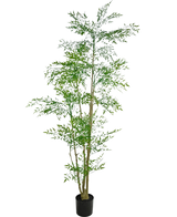De Kunstplant Ruscus 210 cm is een hoge kunstplant in pot met slanke groene bladeren en meerdere dunne stengels tegen een witte achtergrond.
