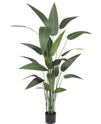 Plante artificielle Heliconia 160 cm
