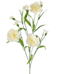 Fleur artificielle Oeillet en grappe 70 cm blanc