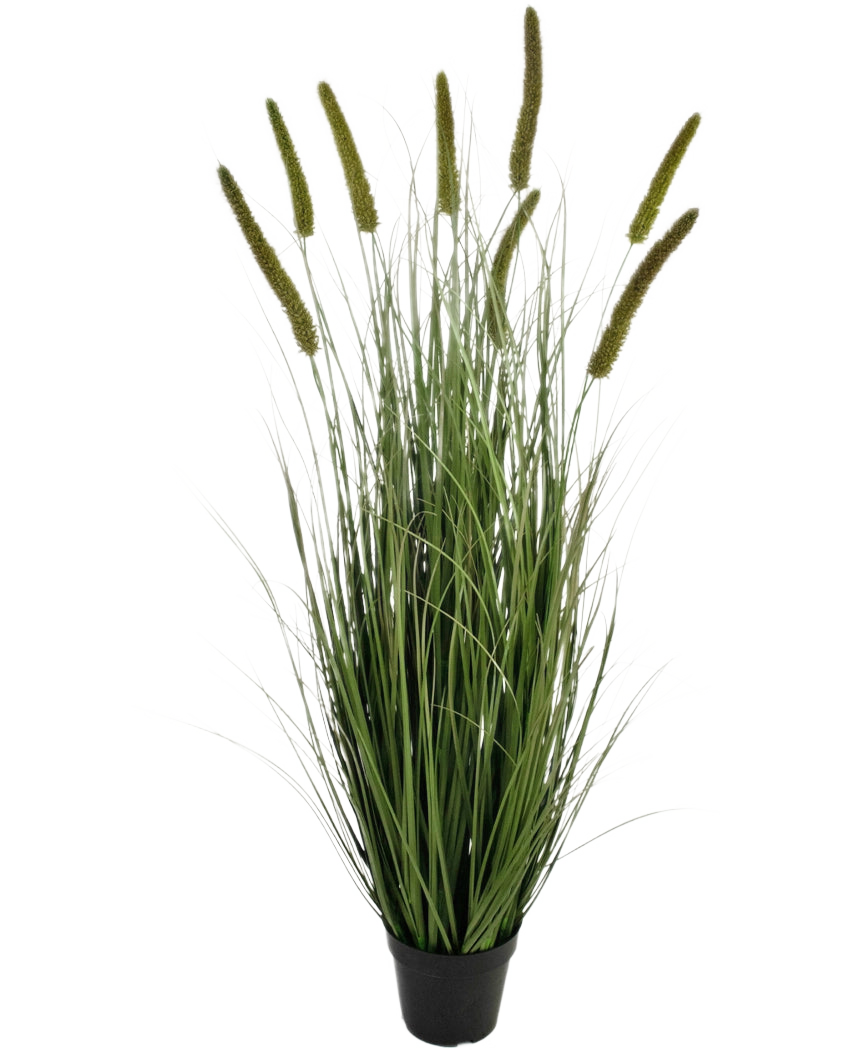 Le gazon artificiel Cattail Onion Grass Pot 120 cm ignifuge est une herbe ornementale dans un pot avec de longues et fines lames vertes et plusieurs têtes de graines hautes et verticales, sur un fond blanc uni.