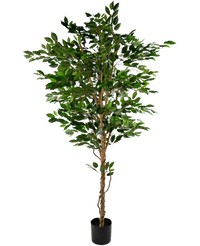 Plante artificielle Ficus Green 210 cm