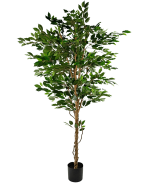 La Plante Artificielle Ficus Vert 210 cm est un grand arbre artificiel avec des feuilles vertes et plusieurs troncs élancés marron, dans un pot compact noir sur fond blanc uni.